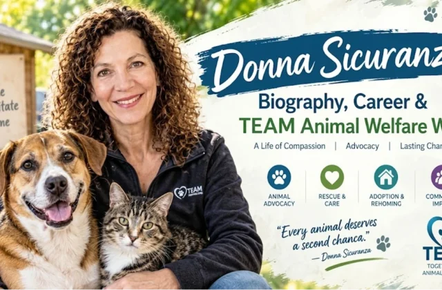 Donna Sicuranza: Who She Is and Her Role at TEAM